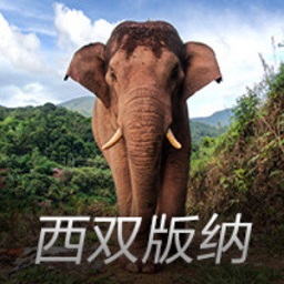 米体：尤文评估是否罚款伊尔迪兹，倾向于批评教育让他请队友吃饭